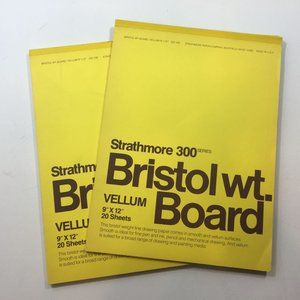 Strathmore 300 Series Bristol Wt. Board Vellum 9"x12" 20 Sheets Drawing Art Pain
